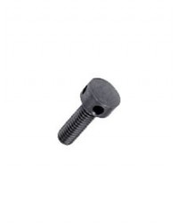 ADJUSTABLE SCREW